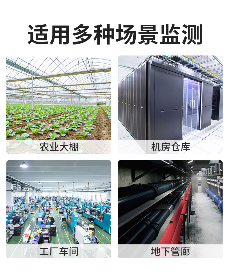 04-王子壳温湿度_11.jpg