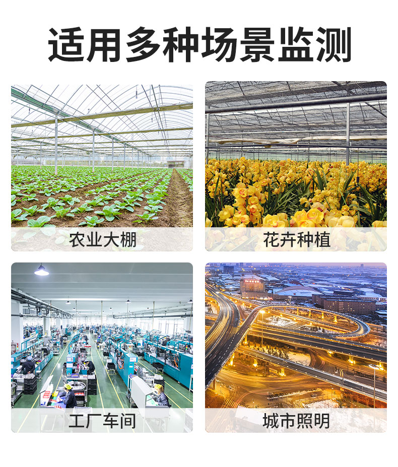 20-光照度王子壳_06.jpg
