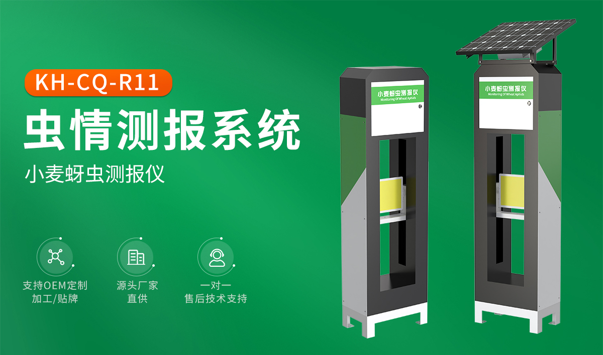 30572687885f3b34b5f4f54931a3627d.jpg R11.jpg