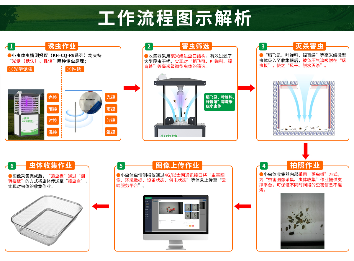 36c2fee139aeac82e8ee0229188d66cf.jpg R9_02.jpg